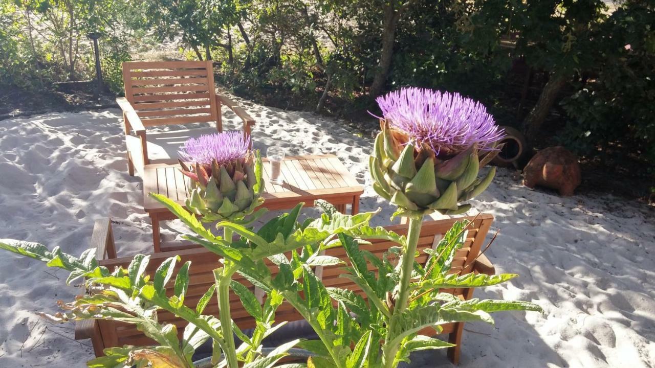 Le Relais De La Praya Lège-Cap-Ferret Exterior foto